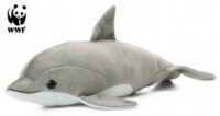 Delfin - WWF (Världsnaturfonden)